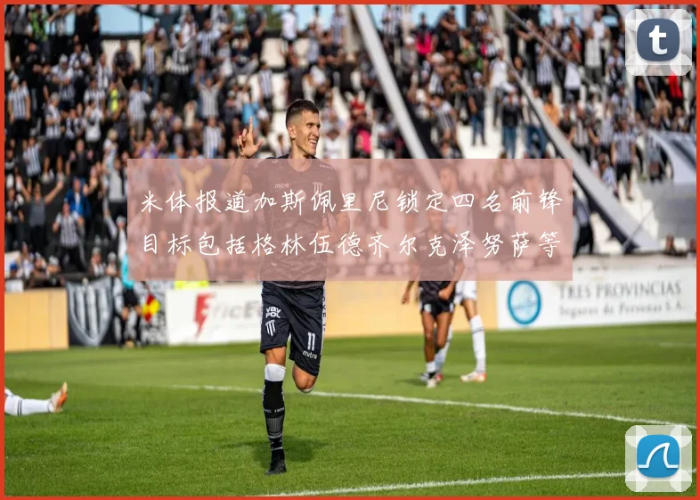 米体报道加斯佩里尼锁定四名前锋目标包括格林伍德齐尔克泽努萨等人